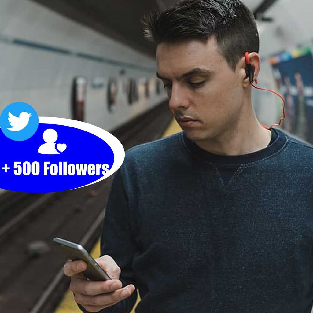 buy 500 twitter follower
